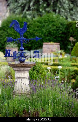 weather vane,wind vane,watercock,watercock blu,lavanda francese,box topiary,giardino formale,giardini formali,giardino,giardino design,architettura Foto Stock