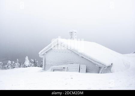 Panorama invernale con cottage, alberi coperti di neve, nebbia. Sfondo invernale di neve e gelo. Pittoresco e meraviglioso scenario invernale.Amazing