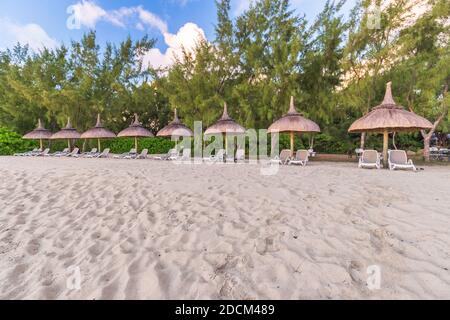 Sedie a sdraio e ombrelloni sull'Ile aux Cerfs, Mauritius Foto Stock