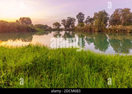 Vista al tramonto sul lago, nel Parco Nazionale di Yarkon (Tel Afek), Israele centrale Foto Stock