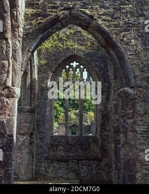 Chiesa della Santissima Trinità, Buckfastleigh 7 Foto Stock