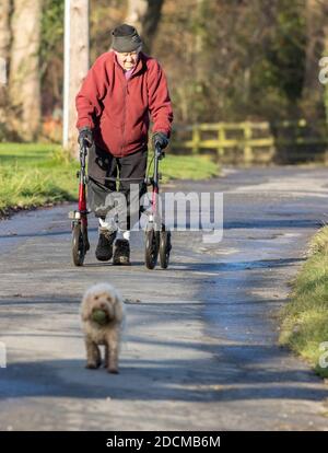Persona anziana che prende l'esercitazione usando un telaio mobile del rollator e che cammina un cane lungo una corsia tranquilla di paese, Regno Unito Foto Stock