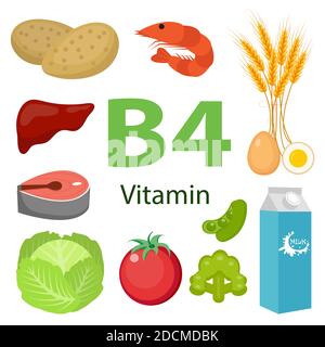 Infografica sulla nutrizione della vitamina B4 con le icone mediche e alimentari dieta, cibo sano e concetto di benessere Illustrazione Vettoriale