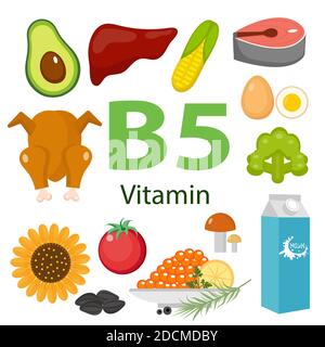 Set infografico di vitamina B5 e prodotti utili avocado, cavolfiore, uova, fagioli, mais, latte, fichi, funghi. Stile di vita sano e vettore di dieta Illustrazione Vettoriale