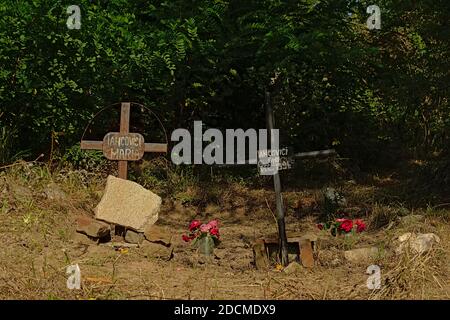 Croci di ferro e rose con alberi dietro nella campagna della Transilvania, Romania Foto Stock