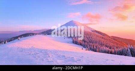 Incredibile alba. Alte montagne con picchi bianchi di neve. Foresta invernale. Una vista panoramica sul coperto con alberi di gelo nelle rondini di neve. Terra naturale Foto Stock