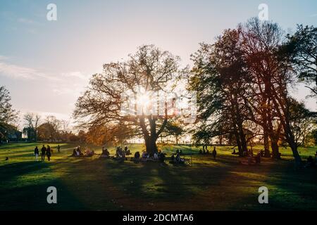 Londra: 22 novembre 2020. Distanze sociali gruppi di persone si riuniscono sotto gli alberi nel Brockwell Park. I parchi nelle città di Londra sono insolitamente occupati a causa delle restrizioni di Covid-19 e di Lockdown, in modo che le persone si incontrino all'esterno. Foto Stock