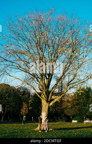 Londra: 22 novembre 2020. Due persone socialmente distanziando e eatibng in Brockwell Park. Tutti i ristoranti e i bar sono chiusi a causa delle restrizioni del Covid-19 e di Lockdown, in modo che le persone si incontrino all'esterno. Foto Stock