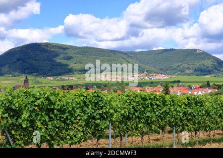 Vista dai vigneti intorno ai villaggi rhodt unter rietburg, Hainfeld, Burrweiler, Weyher, Edenkoben, Edesheim sulla strada del vino tedesco nei palati Foto Stock