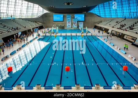 Piscina del London Aquatics Center Foto Stock