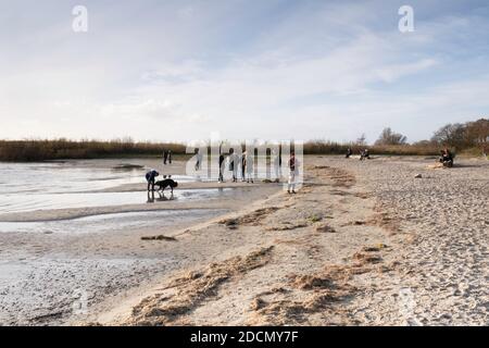 La donna gioca con il cane e altre persone camminano Una spiaggia di sabbia sul Ijsselmeer in Mirns nel Paesi Bassi in autunno Foto Stock