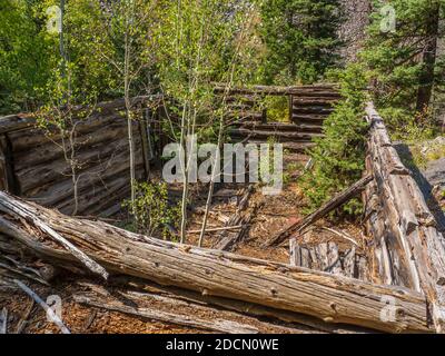 Old Maid Mine, Dexter Creek Trail, Uncompahgre National Forest, Ouray, Colorado. Foto Stock