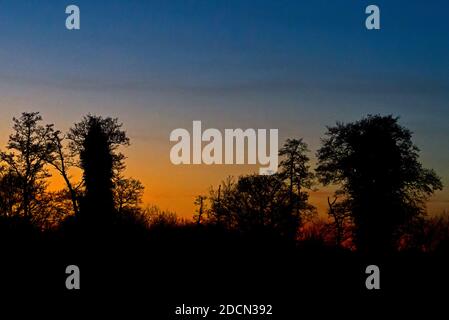 Un tramonto spettacolare sulla Riserva Naturale Shapwick Heath dell'Inghilterra Naturale nelle paludi Avalon a Somerset, Inghilterra, Regno Unito. Foto Stock