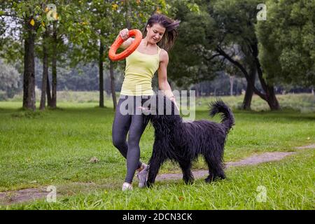 La brida nera bagnata gioca con il proprietario nel parco pubblico. La giovane donna allena il suo animale domestico utilizzando un anello giocattolo. Foto Stock