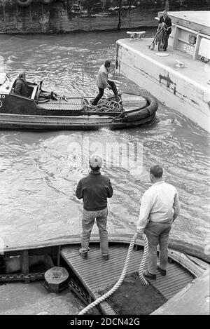 Regno Unito, Londra, Docklands, Isle of Dogs, inizio 1974. Lightermen o 'Weekend Millionaires' che lavorano sul Tamigi. Baco chiatta in alto a destra della foto. Il rimorchiatore in primo piano è 'Hurricane' costruito nel 1938) con il più piccolo 'Showery' costruito nel 1952) entrambi di Mercantile Lighterage Ltd (Illuminismo del Tamigi) che arrivano alla chiatta di Baco. Foto Stock