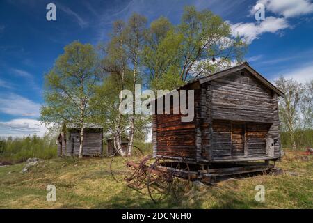 Il vecchio deposito di Sami in legno si stende con uno storico rastrello di fieno in una soleggiata mattina estiva a Tjåmotis, Lapponia, Svezia Foto Stock