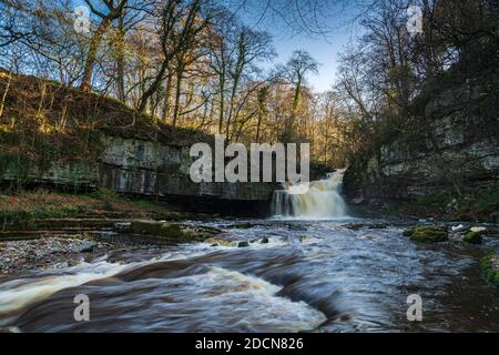 Un'immagine invernale full frame di West Burton Falls, conosciuta anche come Cauldron Falls, nel villaggio di West Burton, Bishopdale, Yorkshire, Inghilterra.19 Nov 2020 Foto Stock