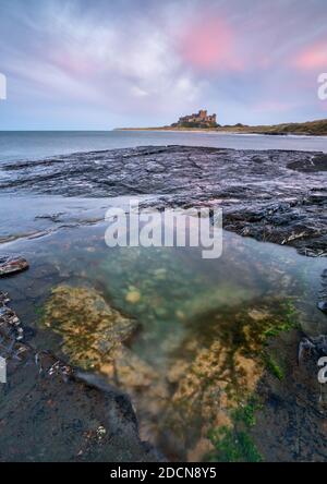 Il Castello di Bamburgh è visibile sotto le nuvole rosa al crepuscolo con una vasca da lancio lasciata dalla marea che riempie il primo piano a Harkness Rocks. Foto Stock