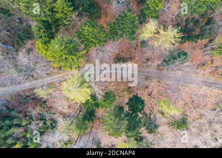 Montagne polacche in Slesia Beskid a Szczyrk. Skrzyczne collina inPolonia in autunno, stagione autunno drone aereo vista foto Foto Stock