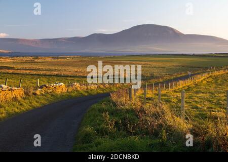 Pomeriggio sulle isole Orkney con strada curvilinea tra recinzione e. Colline dell'isola di Hoy in lontananza Foto Stock