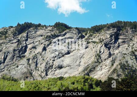 La foresta di Gerdar è una foresta di abeti situata sulle pendici meridionali dei Pirenei, nel Parco Nazionale Aigüestortes e Estany de Sant Maurici. Foto Stock