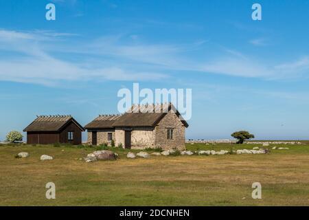 Gruppo di semplici case rurali con tradizionali tetti a canna vicino alla punta meridionale dell'isola di Öland, Svezia. Foto Stock