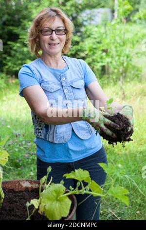 Donna matura che tiene una pianta verde con terreno in mani vestiti guanti, ritratto in un cortile Foto Stock