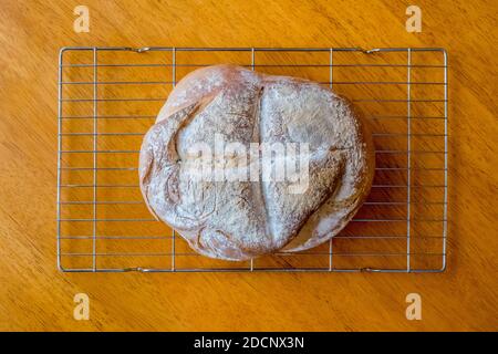 Pane appena sfornato che si raffredda su una griglia metallica Foto Stock