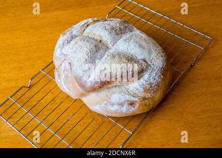 Pane appena sfornato che si raffredda su una griglia metallica Foto Stock