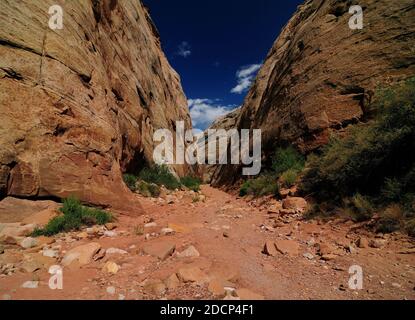 Vista sulla stretta gola del Campidoglio nella Capitol Reef Parco nazionale in UNA giornata estiva soleggiato con un chiaro Cielo blu e alcune nuvole Foto Stock