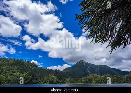 Lago del Toro tra verdi alberi di Araucaria contro la catena montuosa, Huerquehue National Park, Pucon, Araucania Regione, Cile Foto Stock