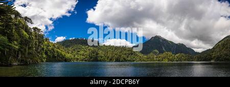 Lago del Toro tra verdi alberi di Araucaria contro la catena montuosa, Huerquehue National Park, Pucon, Araucania Regione, Cile Foto Stock