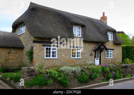 Abete Tree Cottage, una casa storica significativa, bella, costruita in pietra con tetto di paglia in East Coker, Somerset, Inghilterra, Regno Unito Foto Stock