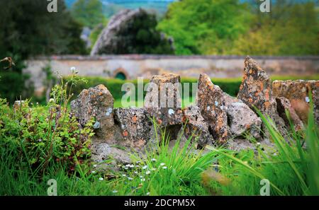 Primo piano di vecchie pareti in pietra a secco con pietre preziose coperte di lichene e circondate da fiori selvatici e siepi, nella contea di Somerset, Inghilterra, Regno Unito Foto Stock