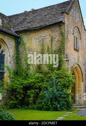 Arrampicarsi su viti su un vecchio muro di pietra della storica chiesa di St Michael & All Angles a East Coker, County Somerset, Inghilterra, Regno Unito Foto Stock