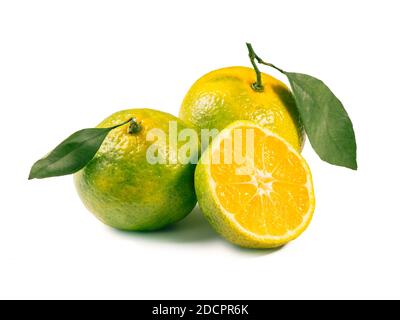 Verdi mandarini isolati su sfondo bianco. Tangerini verdi freschi e maturi perfetti con foglie e mezza tangerina isolata su bianco con tracciato di ritaglio. Foto Stock