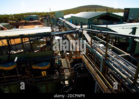 Processo di data mining pianta nel campo Foto Stock