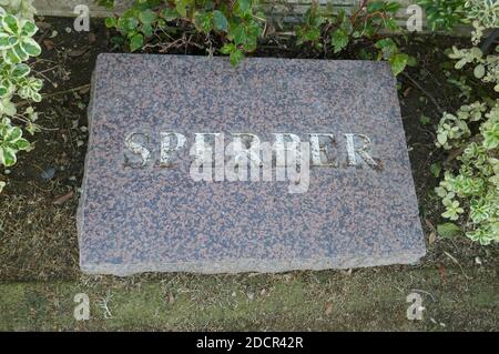 Los Angeles, California, USA 17 novembre 2020 UNA visione generale dell'atmosfera dell'attrice Wendie Jo Sperber's grave al Mount Sinai Cemetery Hollywood Hills il 17 novembre 2020 a Los Angeles, California, USA. Foto di Barry King/Alamy Stock foto Foto Stock