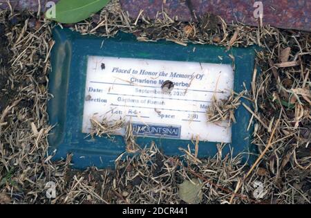 Los Angeles, California, USA 17 novembre 2020 una visione generale dell'atmosfera dell'attrice Wendie Jo Sperber's Moth rCharlene Sperber's grave al Mount Sinai Cemetery Hollywood Hills il 17 novembre 2020 a Los Angeles, California, USA. Foto di Barry King/Alamy Stock foto Foto Stock