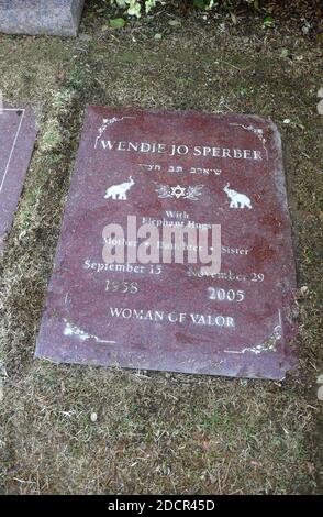 Los Angeles, California, USA 17 novembre 2020 UNA visione generale dell'atmosfera dell'attrice Wendie Jo Sperber's grave al Mount Sinai Cemetery Hollywood Hills il 17 novembre 2020 a Los Angeles, California, USA. Foto di Barry King/Alamy Stock foto Foto Stock