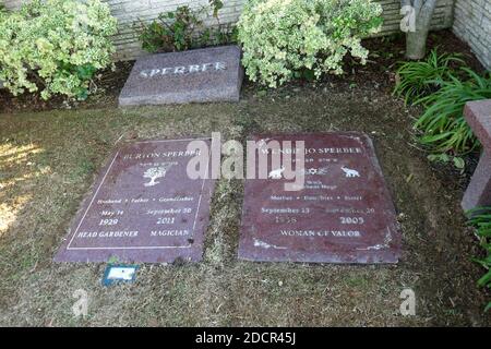 Los Angeles, California, USA 17 novembre 2020 UNA visione generale dell'atmosfera dell'attrice Wendie Jo Sperber's grave e del padre Burton Sperber e della madre Charlene Sperber's graves al Mount Sinai Cemetery Hollywood Hills il 17 novembre 2020 a Los Angeles, California, USA. Foto di Barry King/Alamy Stock foto Foto Stock