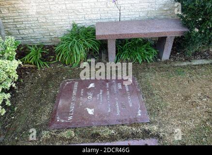 Los Angeles, California, USA 17 novembre 2020 UNA visione generale dell'atmosfera dell'attrice Wendie Jo Sperber's grave al Mount Sinai Cemetery Hollywood Hills il 17 novembre 2020 a Los Angeles, California, USA. Foto di Barry King/Alamy Stock foto Foto Stock