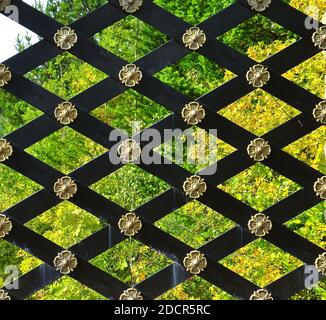 Vista ravvicinata del recinto in trellis di ferro ornato con fiori d'oro. Lo sfondo è costituito da fitti boschi misti. Foto Stock