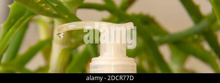 Disinfettante per le mani con estrazione in gel di aloe per l'igiene delle mani e la prevenzione della salute. Primo piano, messa a fuoco selettiva Foto Stock