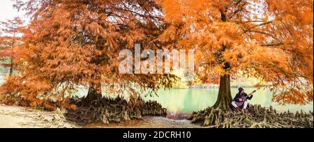 ampia vista panoramica di un latino-riccio che indossa abiti caldi che suonano una chitarra in una foresta durante autumn.orange alberi e un fiume come indietro Foto Stock