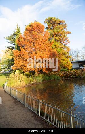 Autunno a Jephson Gardens Park, Royal Leamington Spa, Warwickshire, Inghilterra, Regno Unito Foto Stock