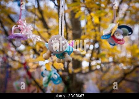 L'albero del succhietto, per i bambini svezzanti del succhietto in anticipo possono appendere i loro succhietti nell'albero e sperare in un regalo della fata del succhietto, Witten, Nord R. Foto Stock