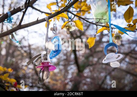 L'albero del succhietto, per i bambini svezzanti del succhietto in anticipo possono appendere i loro succhietti nell'albero e sperare in un regalo della fata del succhietto, Witten, Nord R. Foto Stock