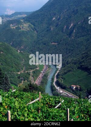 viticoltura e viticoltura in un bellissimo paesaggio alpino in alto adige Foto Stock