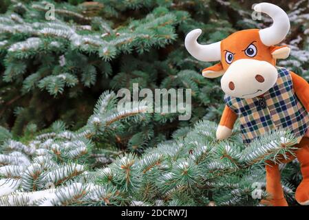 Un divertente toro arancione giocattolo si affaccia sullo sfondo di un albero di Natale coperto di neve nel parco. Il simbolo del nuovo anno 2021 Foto Stock